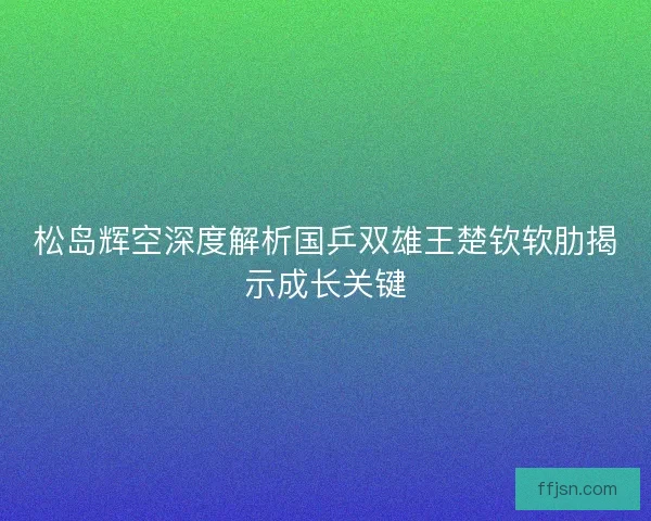 松岛辉空深度解析国乒双雄王楚钦软肋揭示成长关键